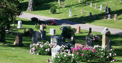 Cremeens Funeral Home